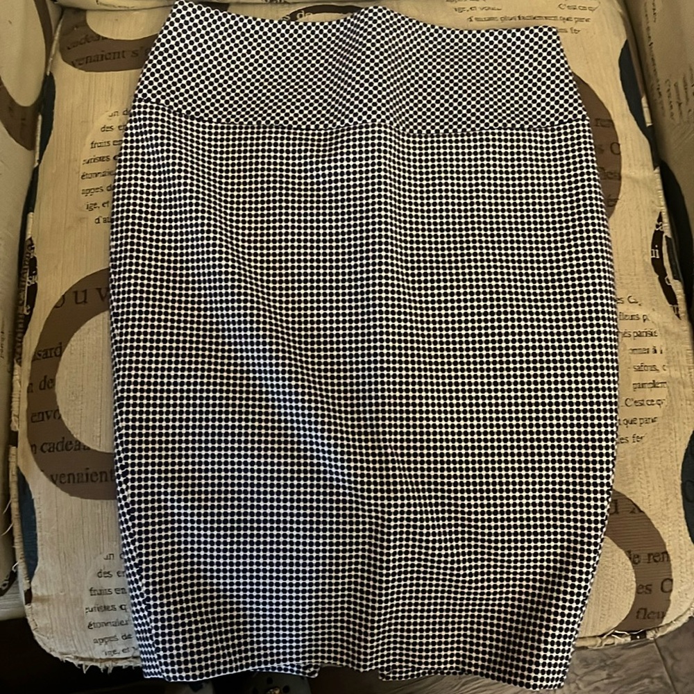 Express Skirt